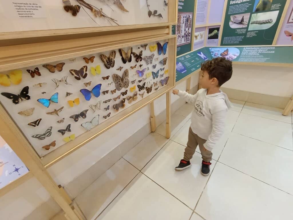 Interactive Insect Handling