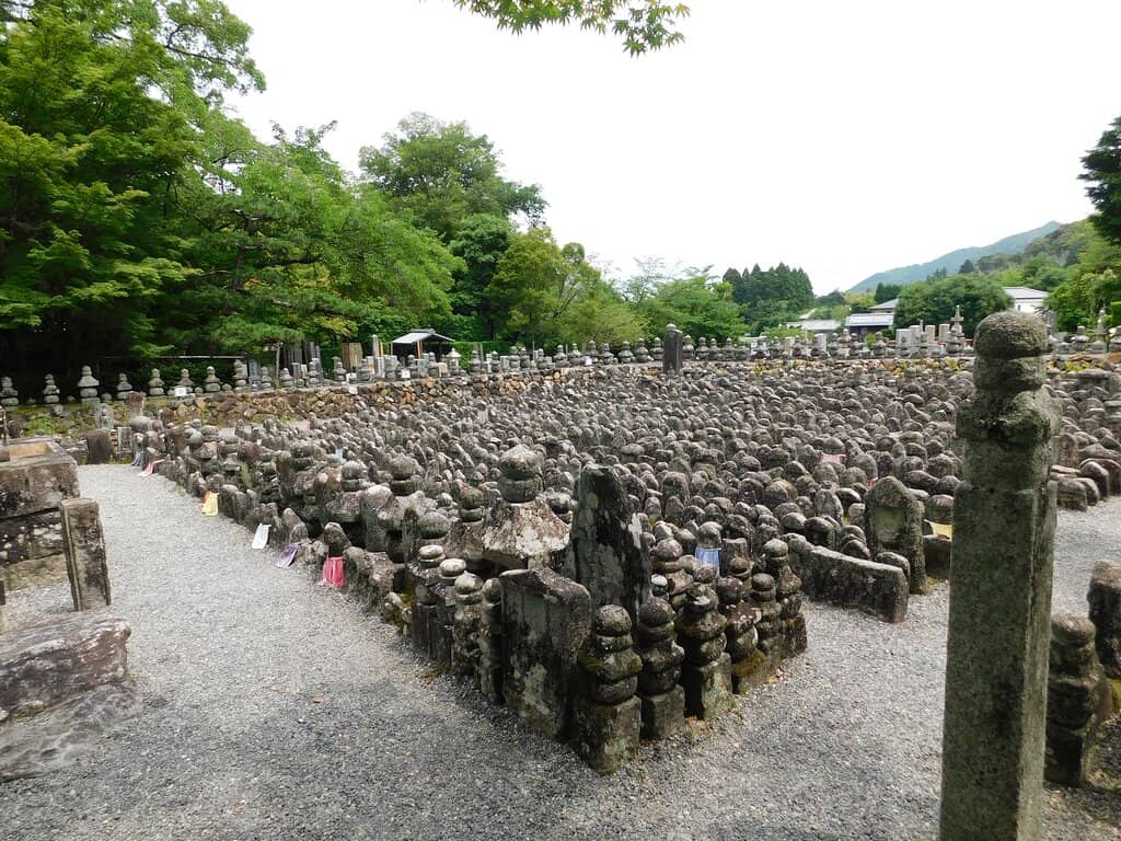 Secluded Bamboo Grove