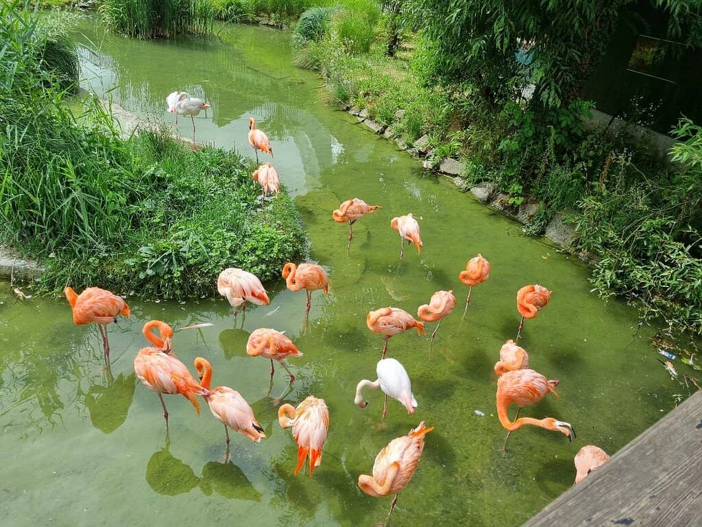 Playgrounds & Adventure Area