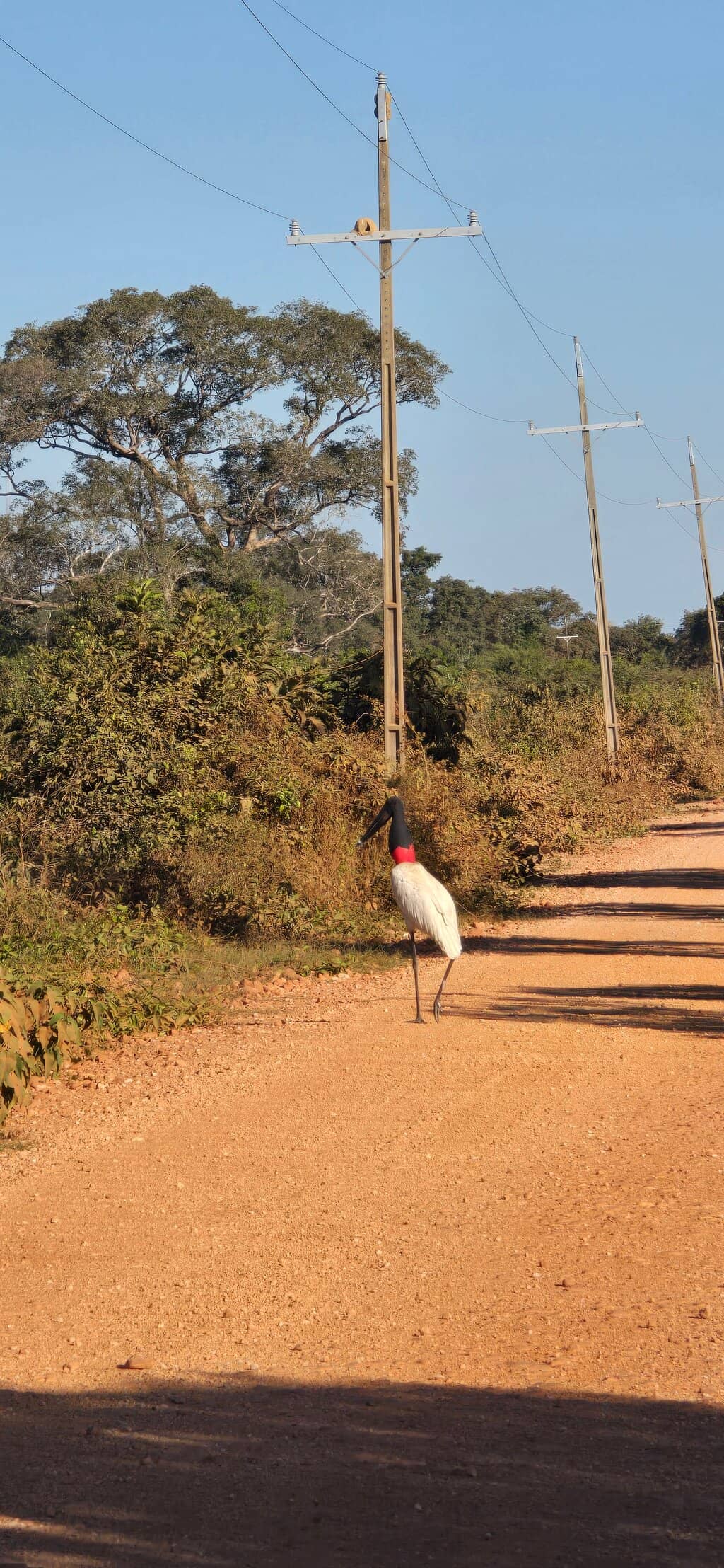 Jaguar Land Environmental Center