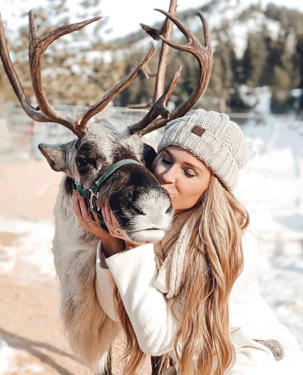 Educational Presentation