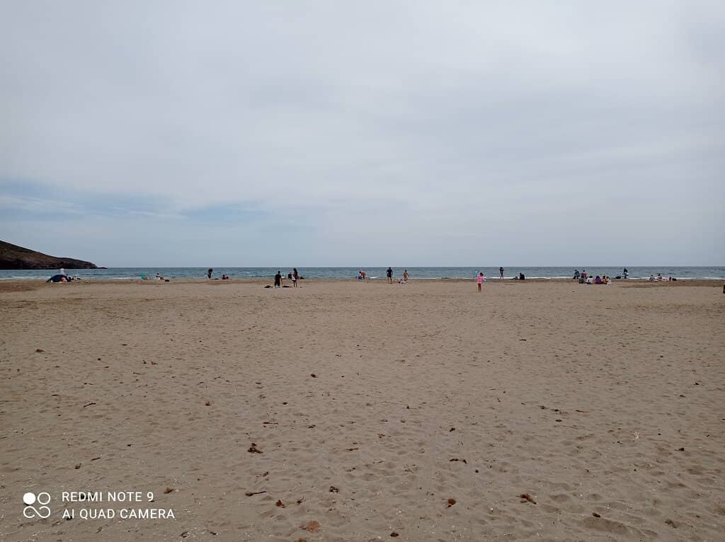 Expansive Golden Sands