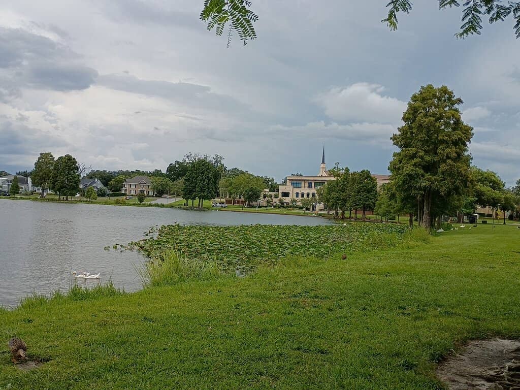 Abundant Birdlife Viewing