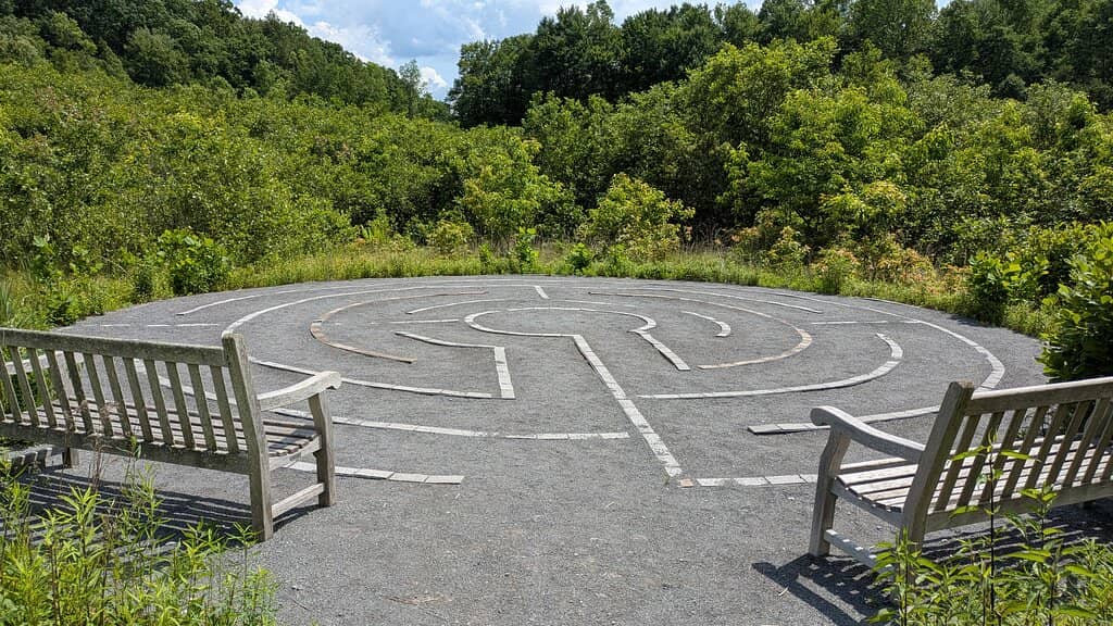 Contemplation Maze