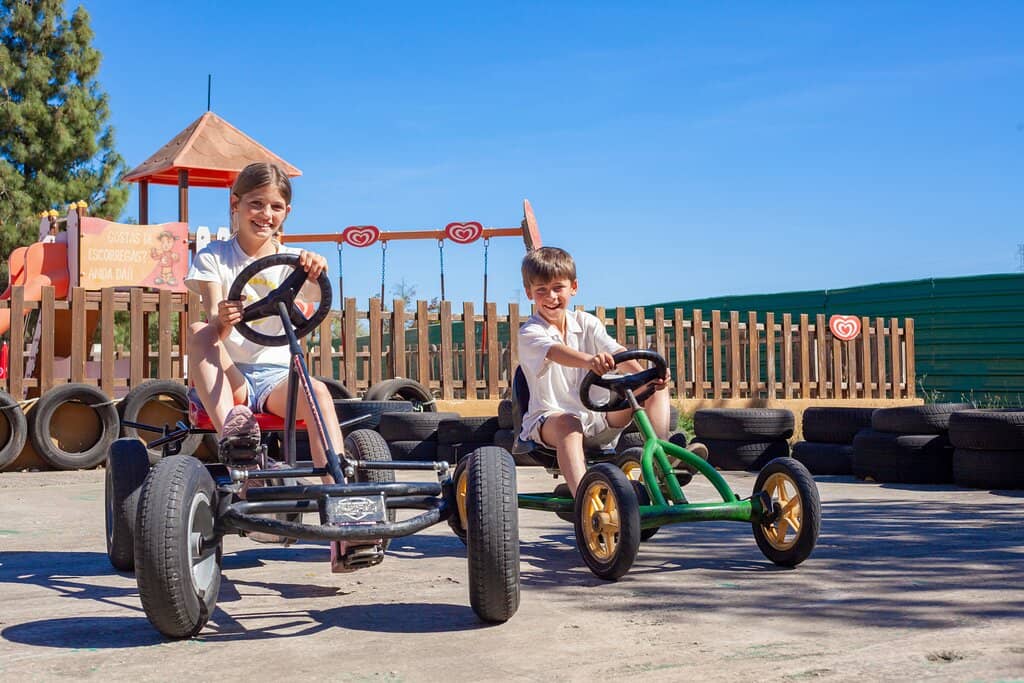 Petting Farm & Pony Rides