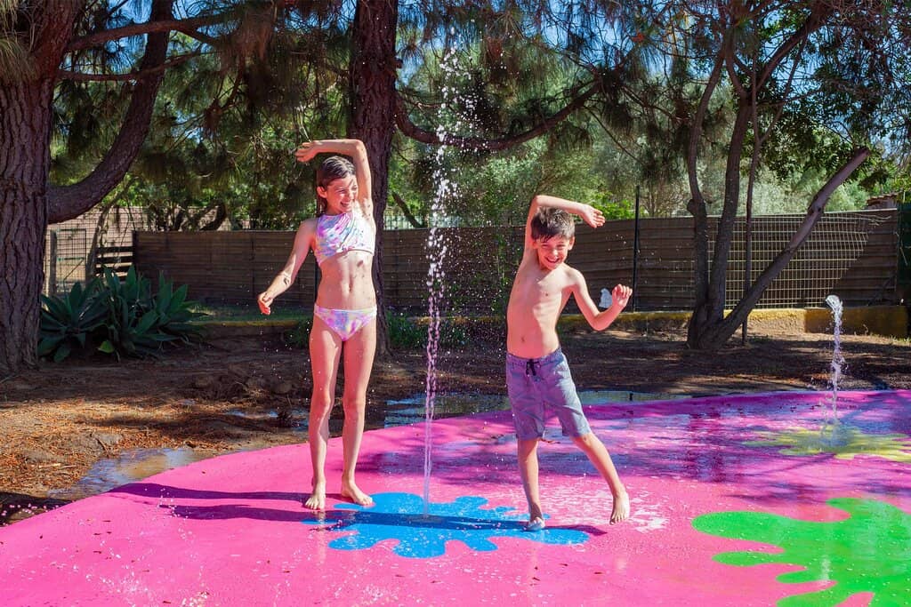 Interactive Animal Encounters