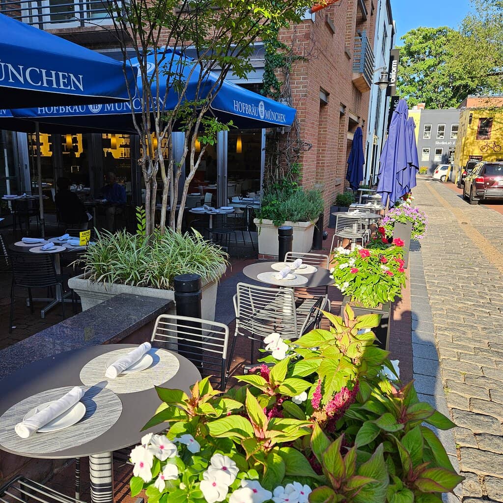 Delectable Lemon Pancakes