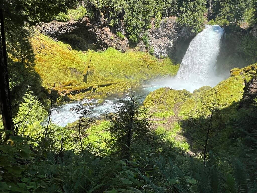 McKenzie River Trail Loop