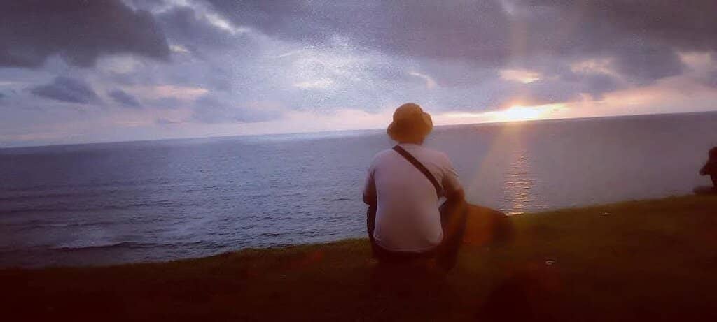 The Lone Tree Photo Spot