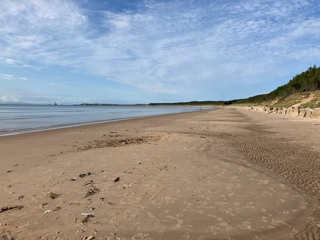 Enchanting Forest Walks