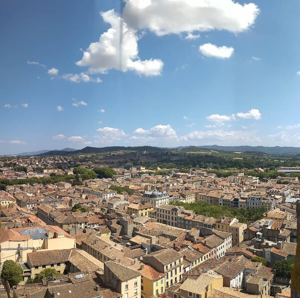 Tower Climb & City Views