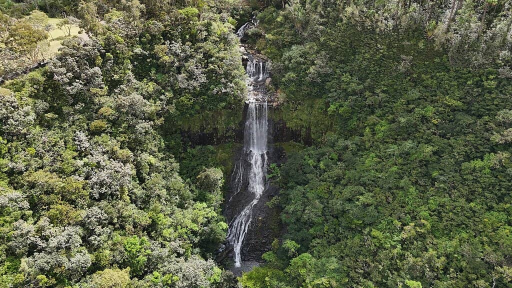 Alexandra Falls Cascade