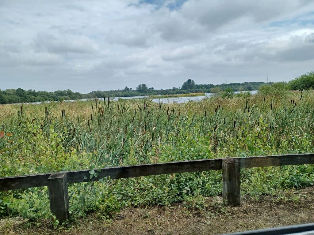 Birdwatching Opportunities