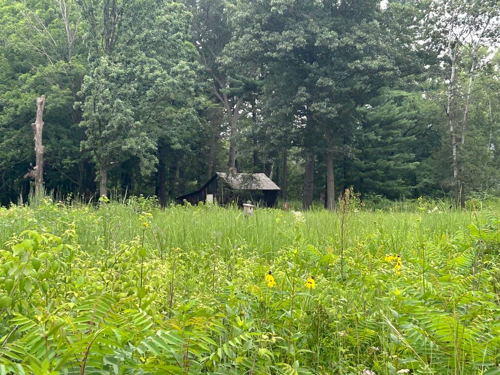 Wildlife Viewing Blind