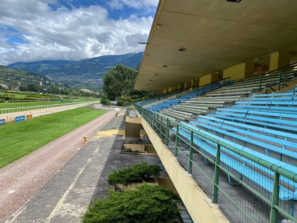 Guided Racecourse Tours