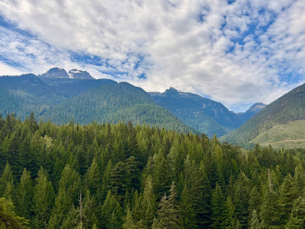 Bluff Trailhead Hike