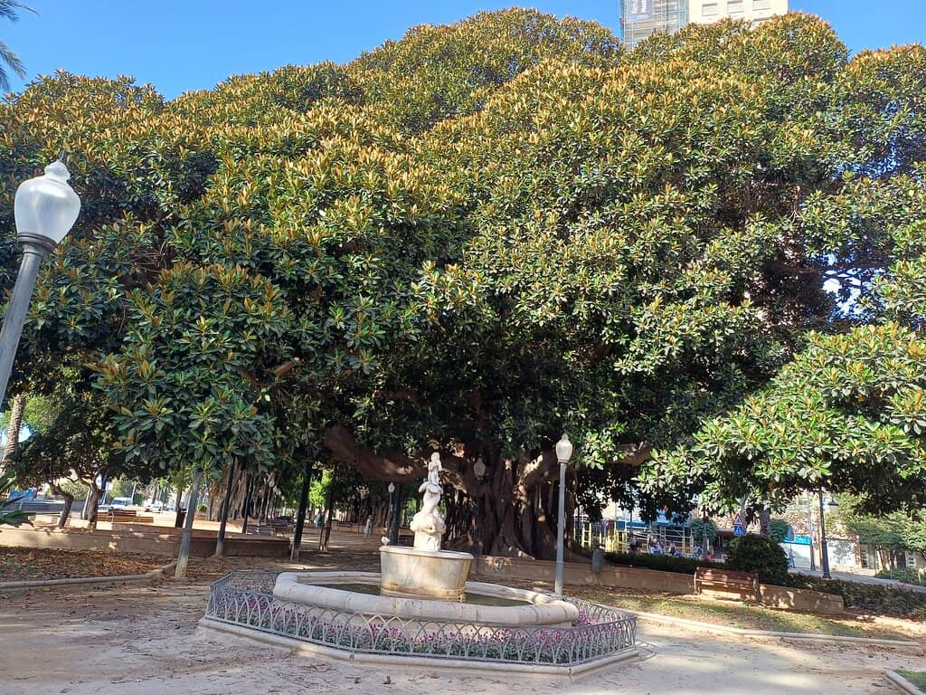 Coastal Views and Port Activity