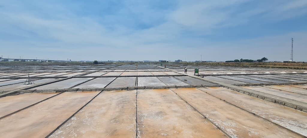 Active Salt Harvesting