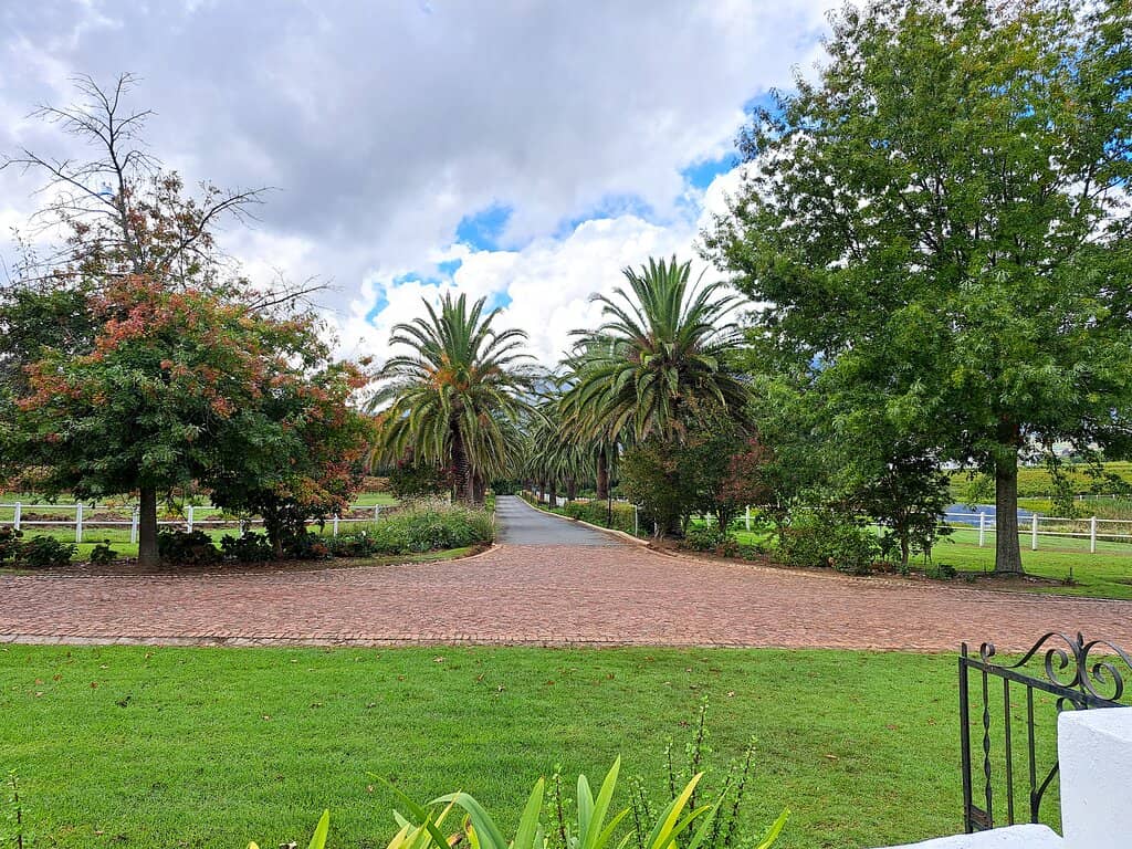 Wine Tasting Experience