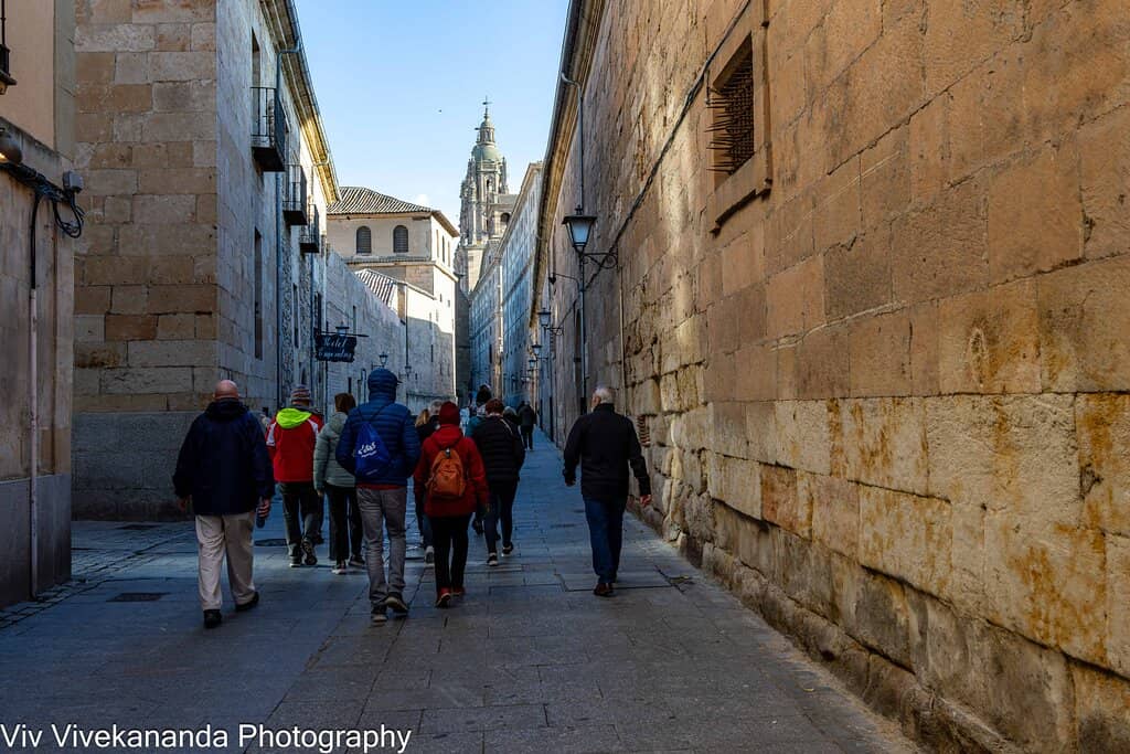 Renaissance Interiors