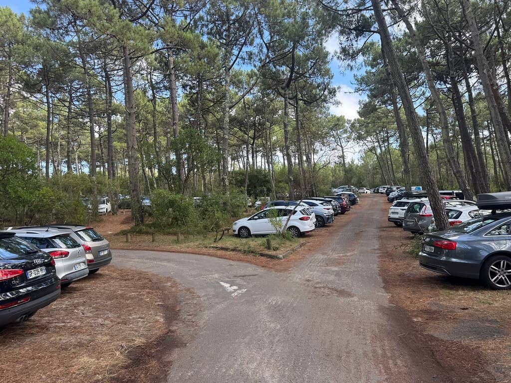 Surf School and Cafes