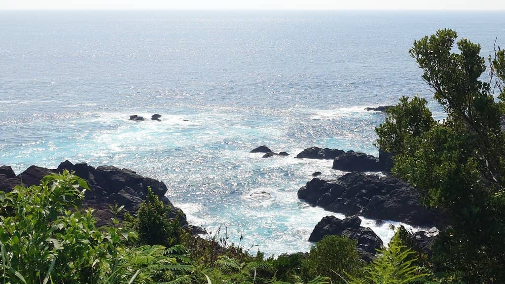 Shoreline Exploration