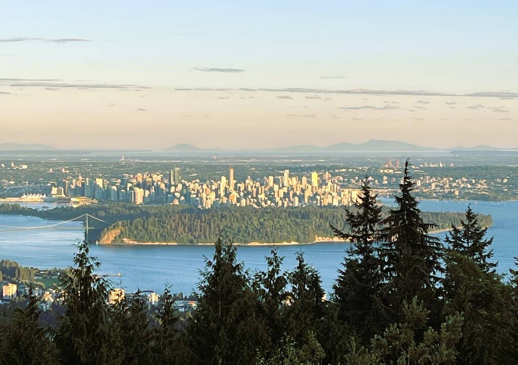 Cypress Eagle Coaster