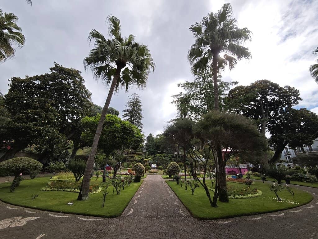 Exotic Flora Collection