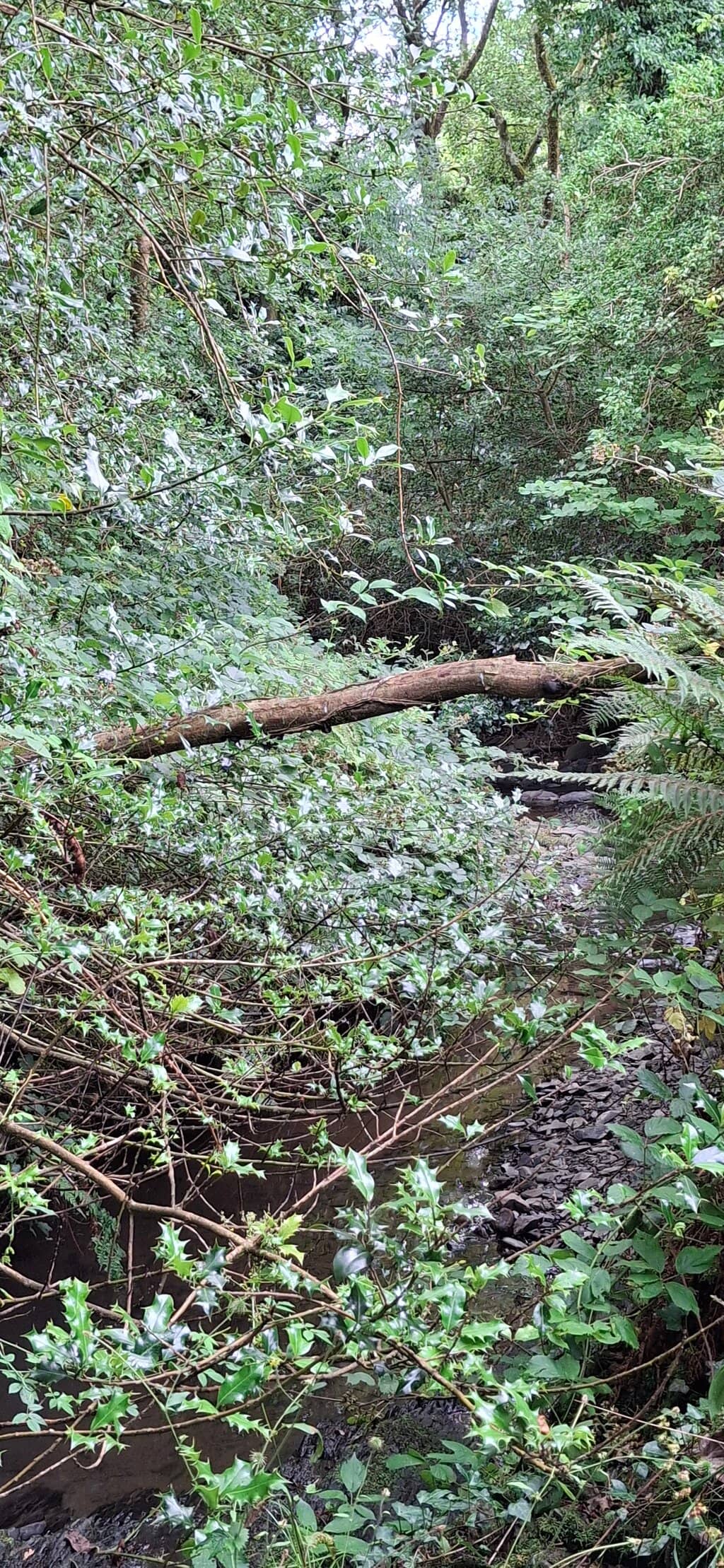 Impeccably Renovated Lodge