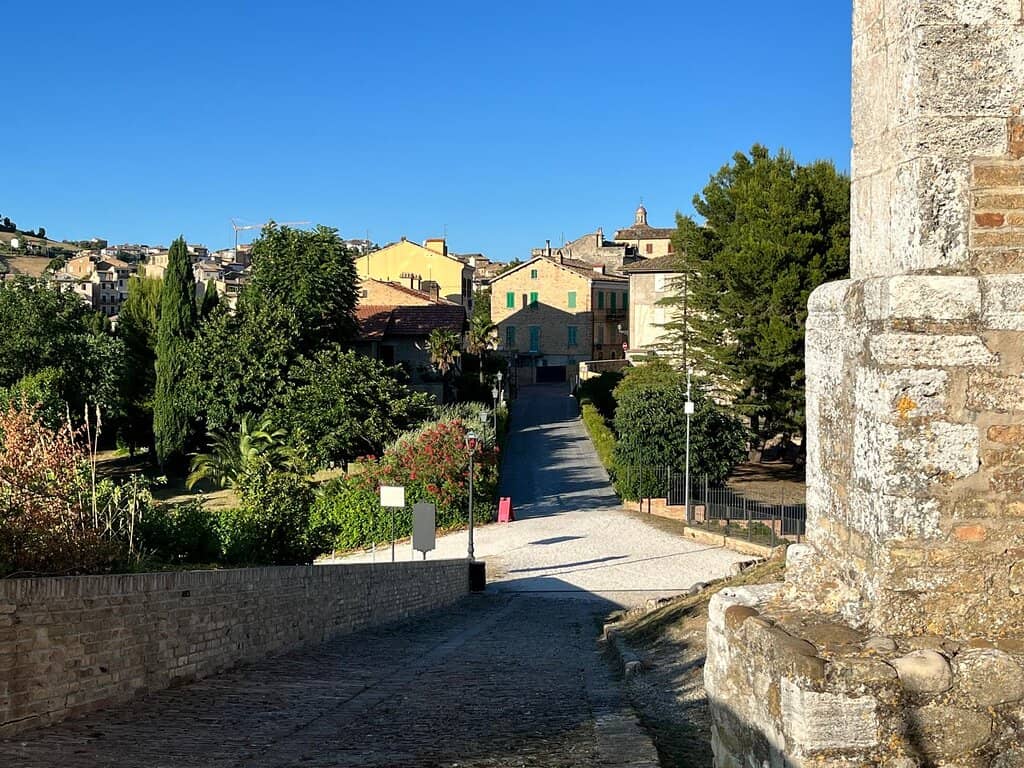 Vertical photo