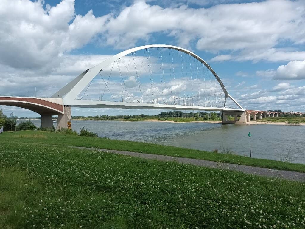 Illuminated Nighttime Spectacle