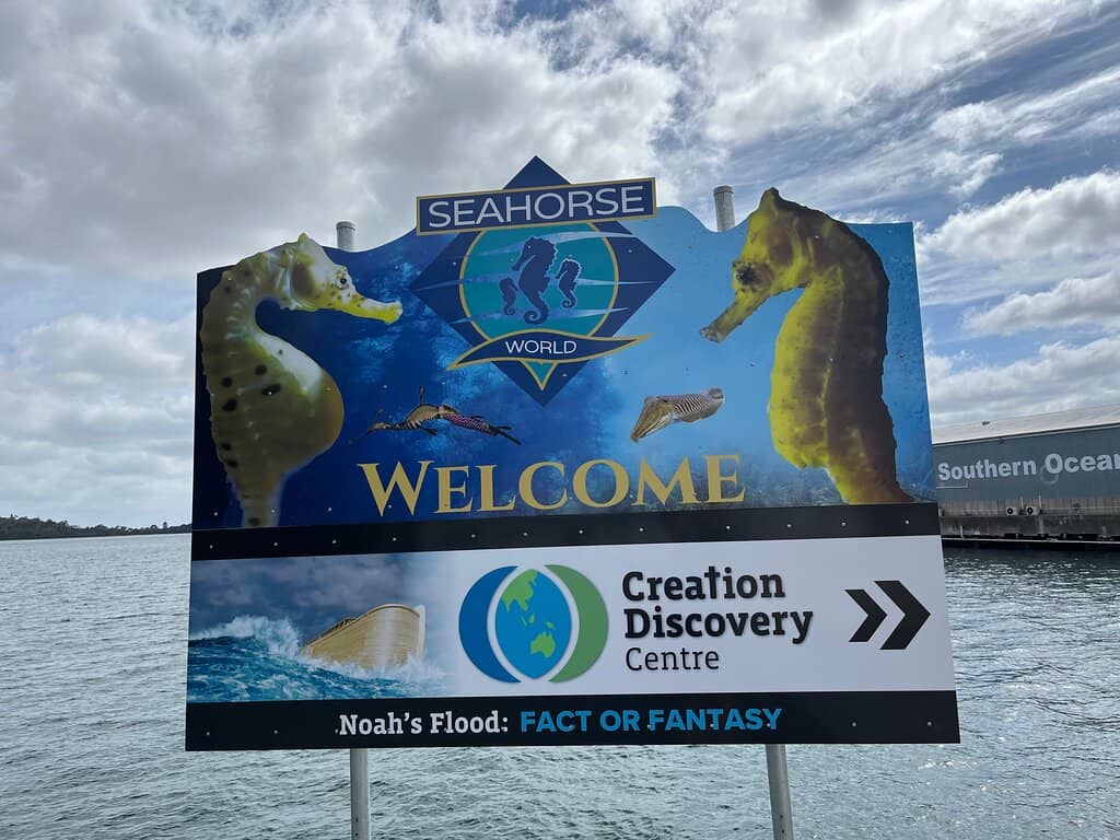 Hold a Seahorse