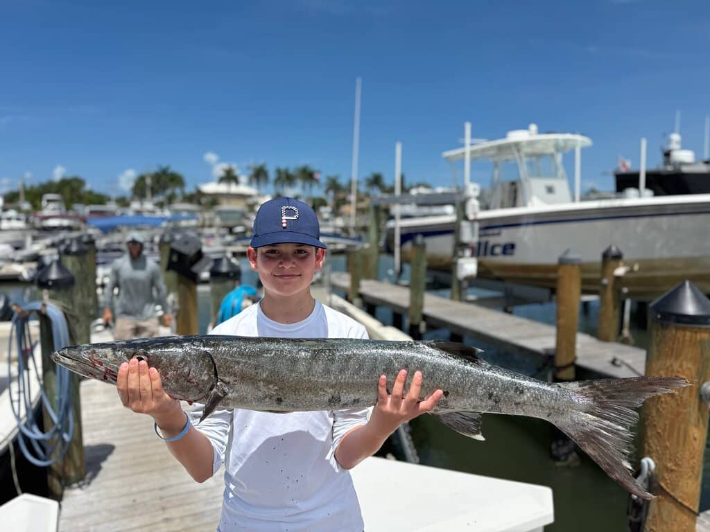 Mangrove Exploration