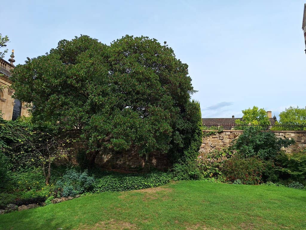 Architectural Grandeur