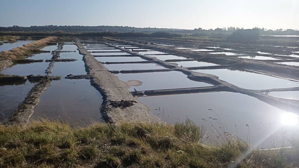 Sunrise over the Marshes