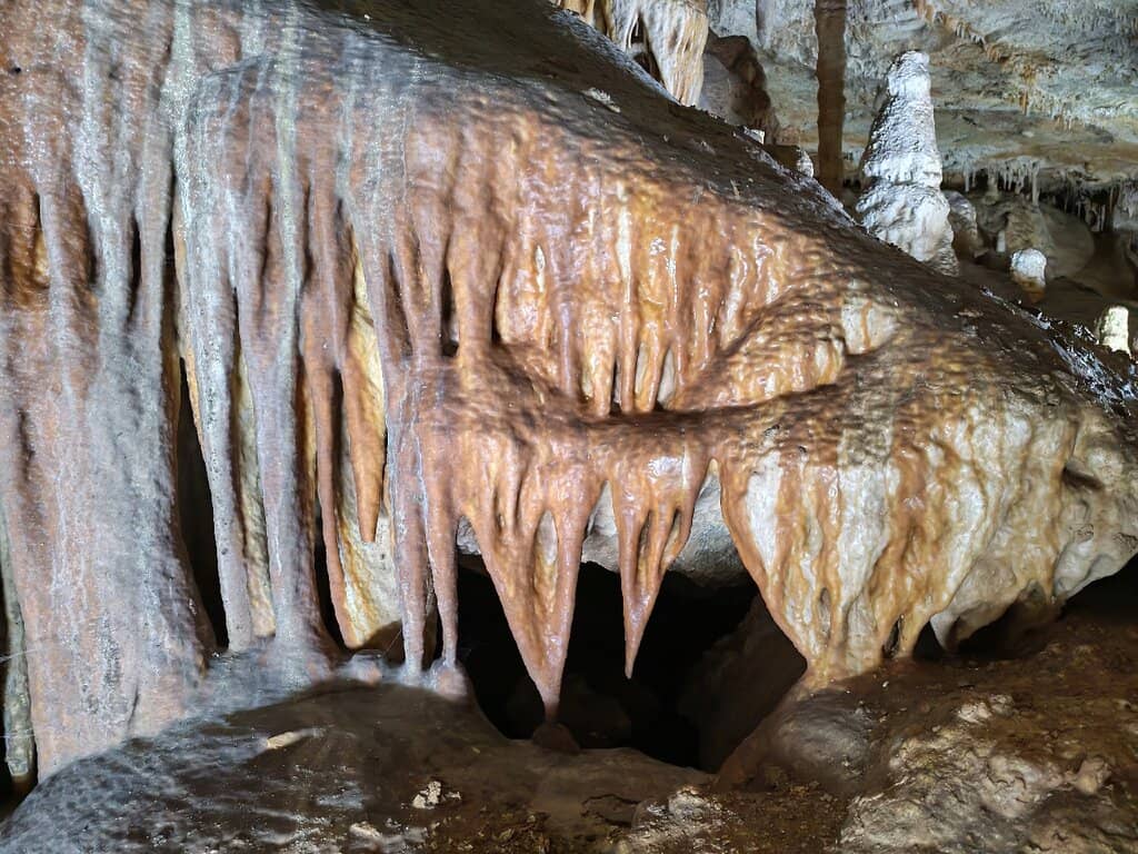 Photographer's Paradise