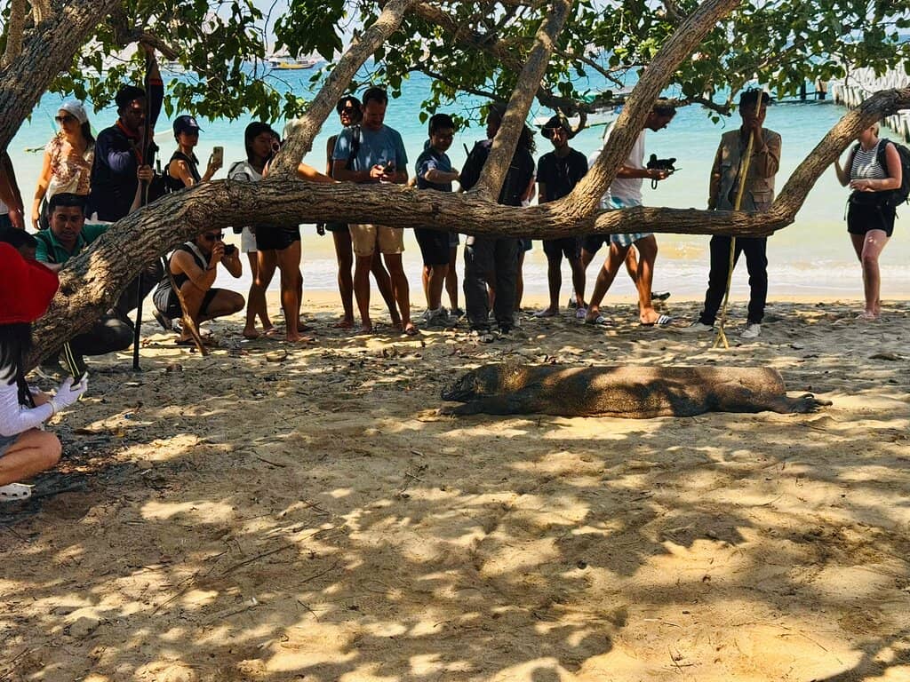 Padar Island Viewpoint