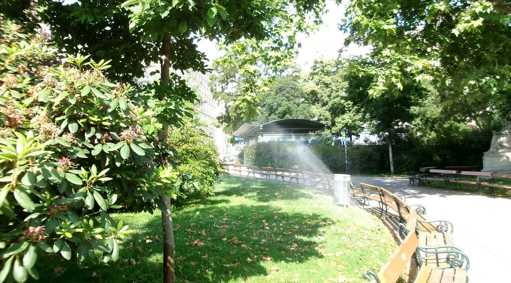 Summer Festivals & Cinema