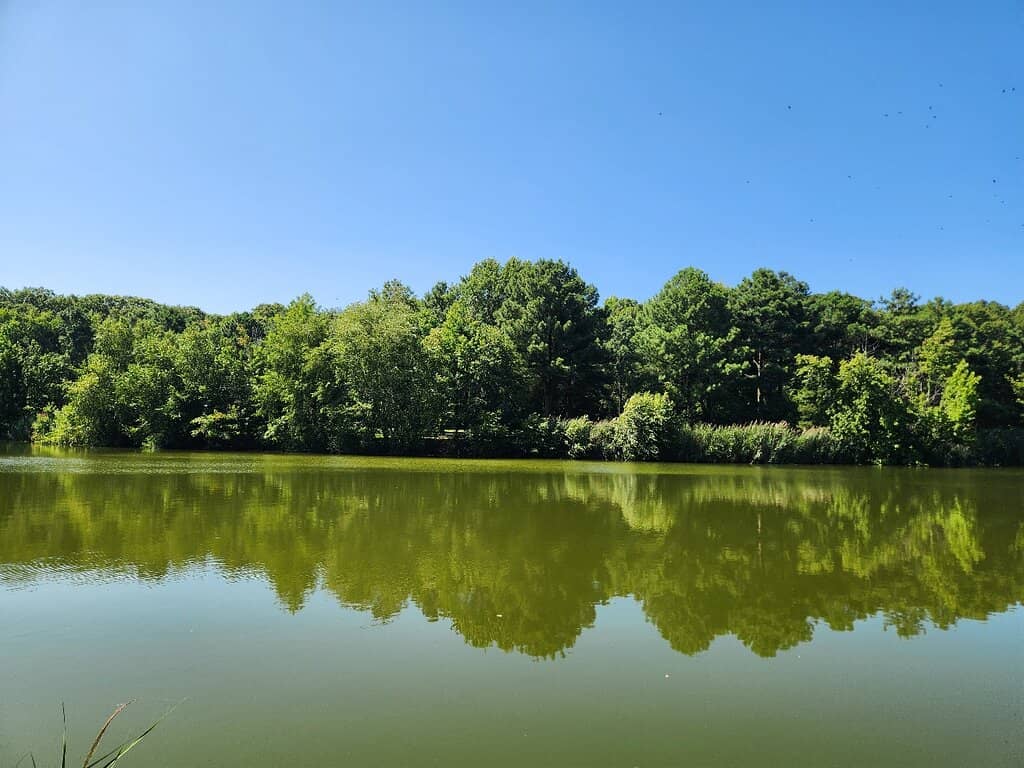 Peaceful Beach Access