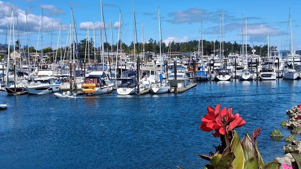 Local Art and Amenities