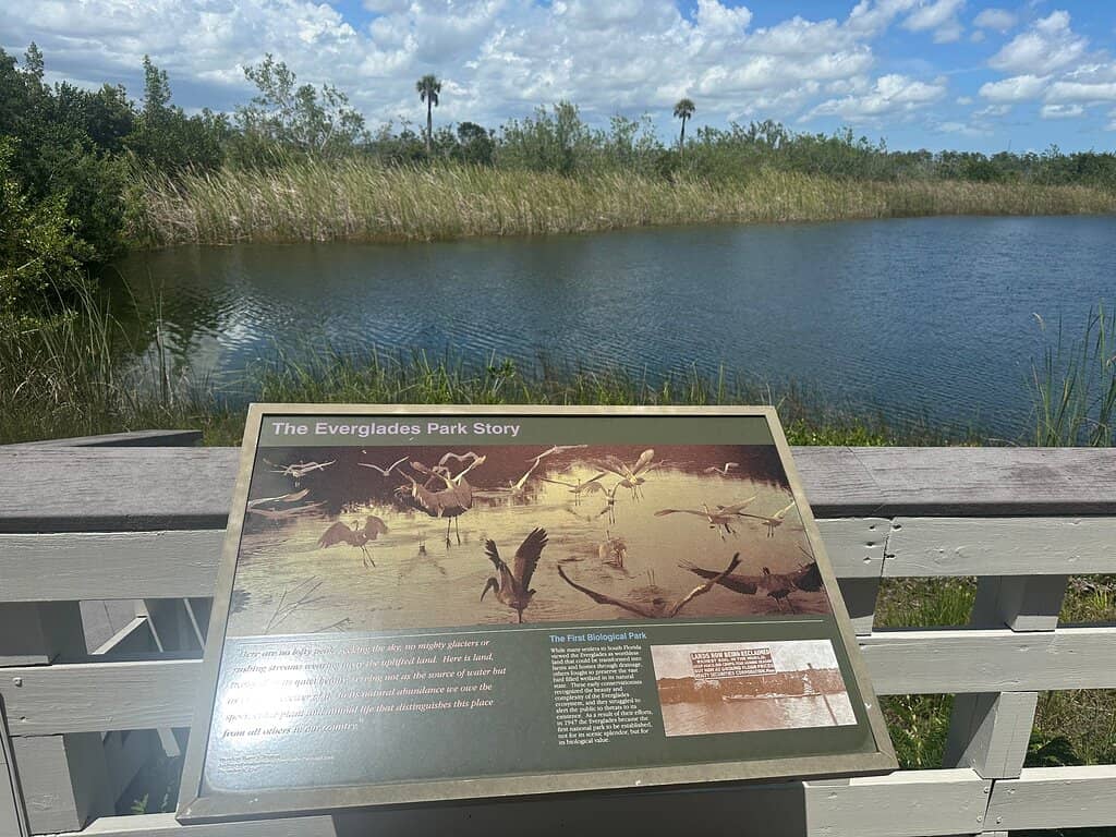 Junior Ranger Program
