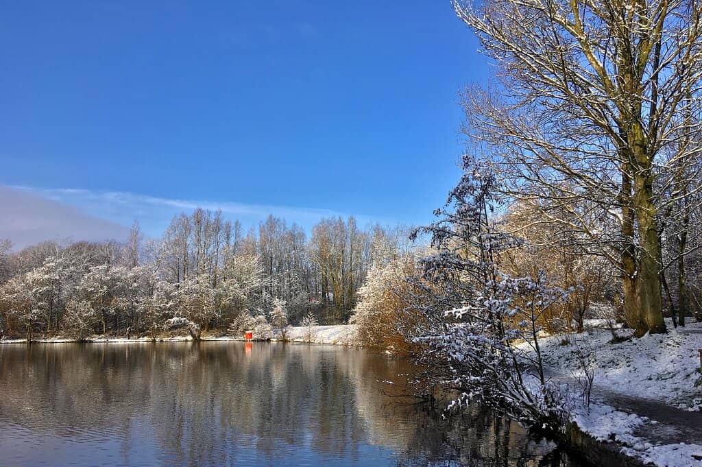 Children's Playground
