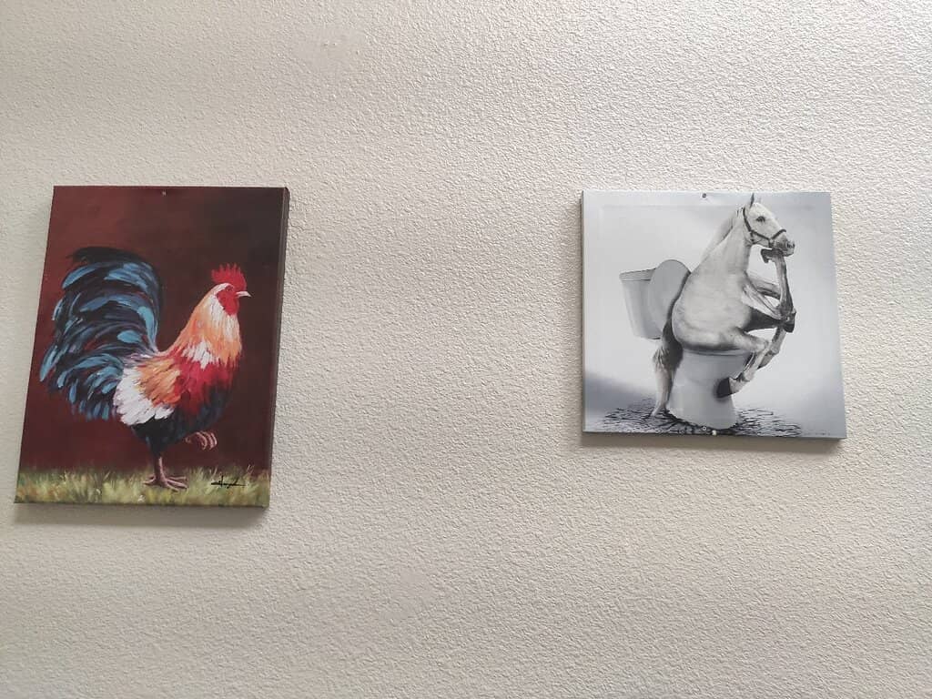 Live Music Entertainment