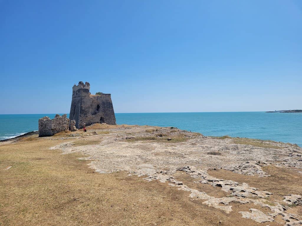 Mediterranean Greenery