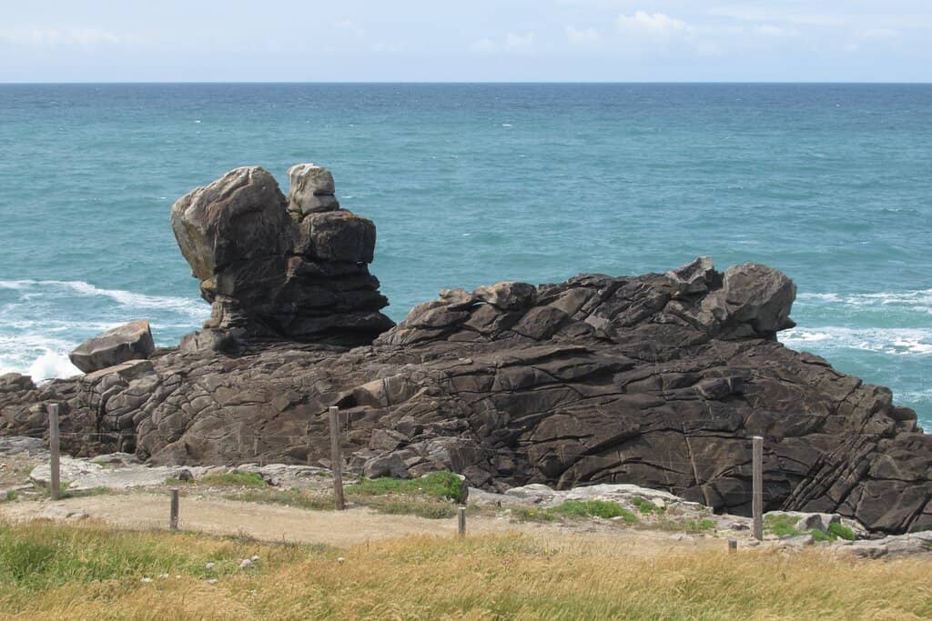 Tulip Fields (Seasonal)