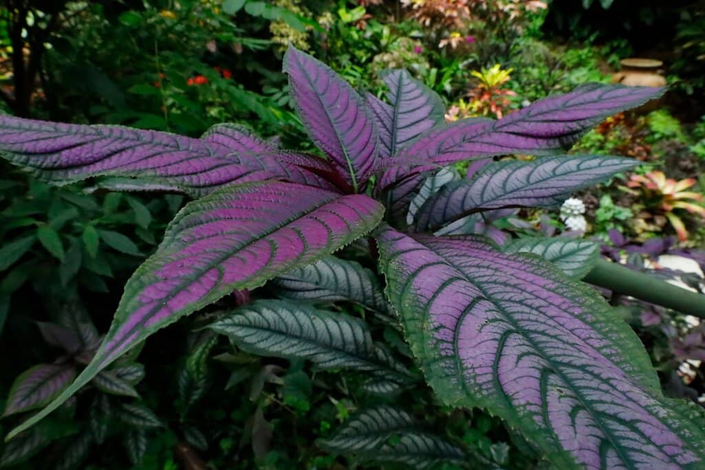 Hidden Seating Nooks