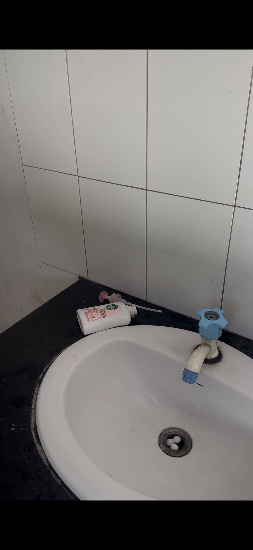 Souvenir Shop & Park