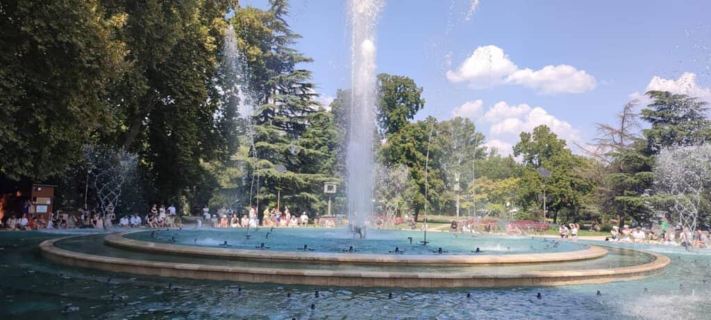 Evening Light Displays