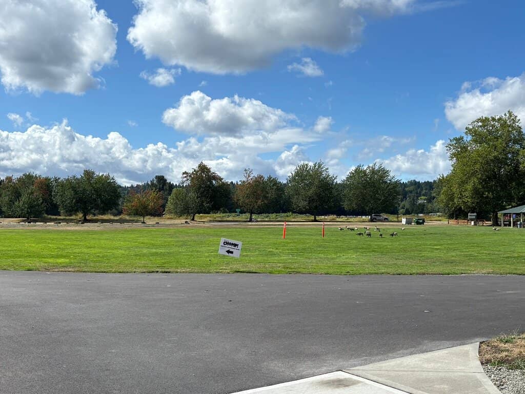 Spacious Off-Leash Dog Area