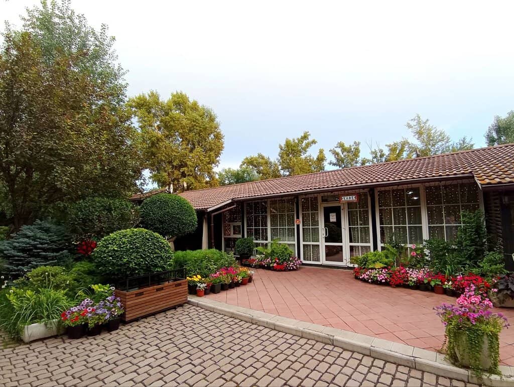 Friendly Animal Encounters